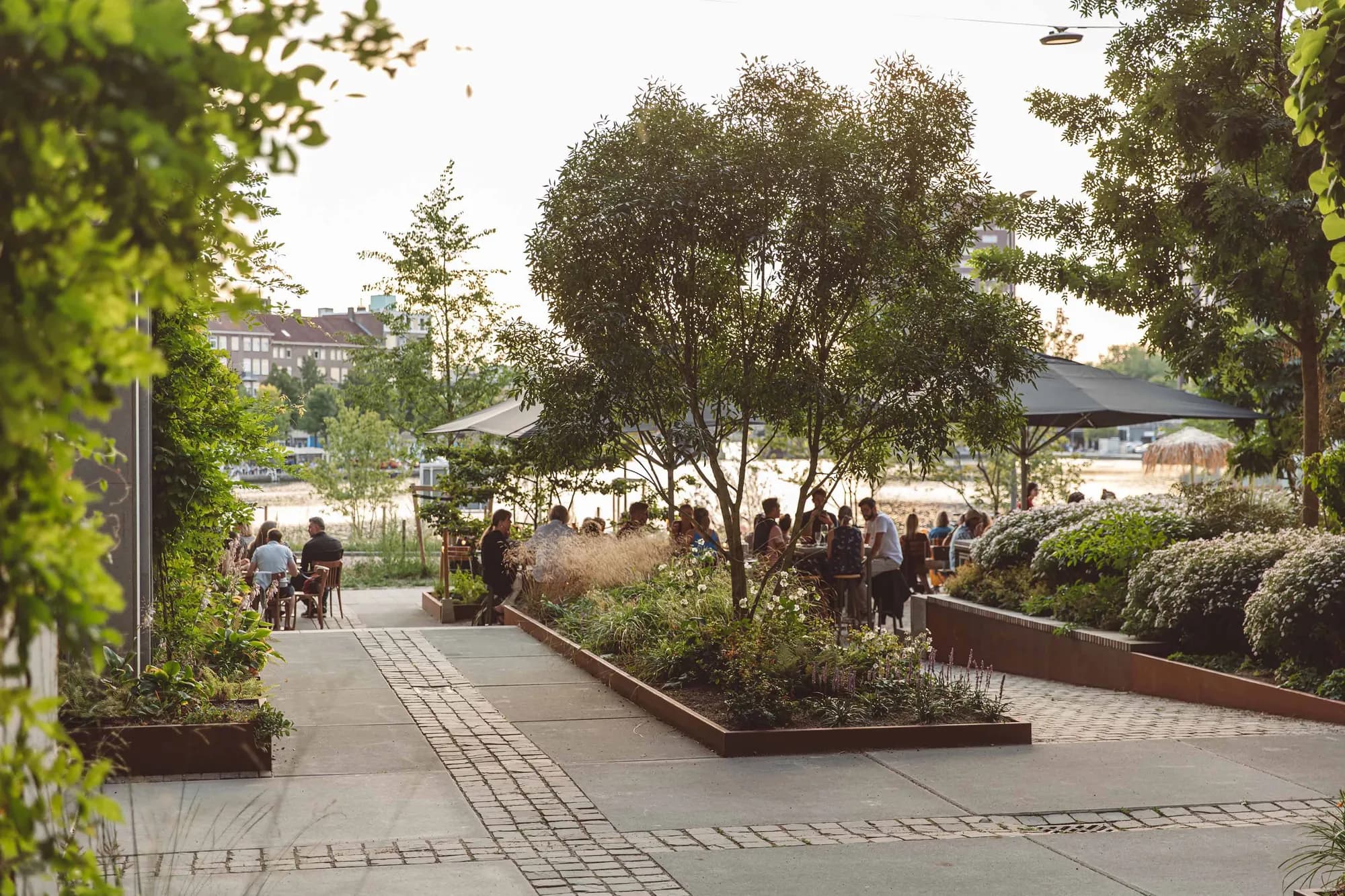 littlec terras water