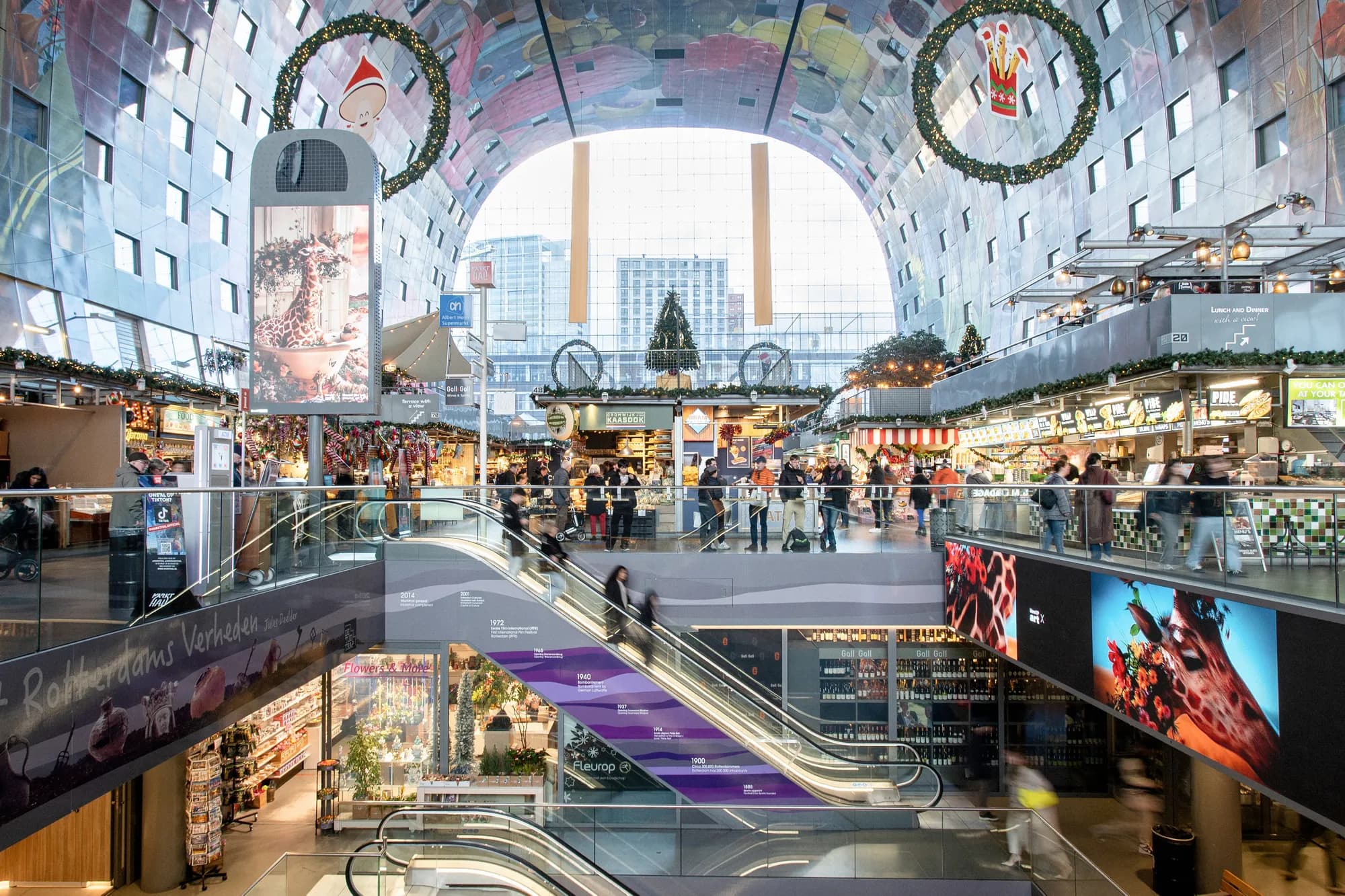 vigo markthal rotterdam overzicht